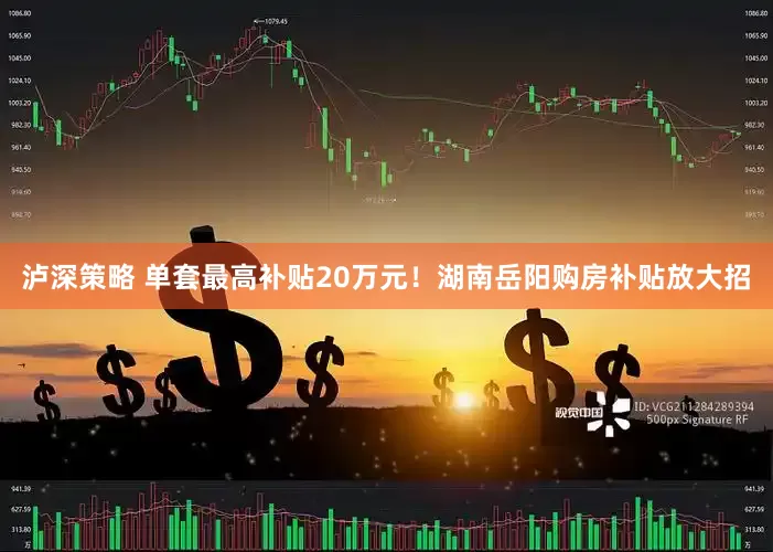 泸深策略 单套最高补贴20万元！湖南岳阳购房补贴放大招