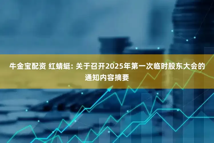 牛金宝配资 红蜻蜓: 关于召开2025年第一次临时股东大会的通知内容摘要